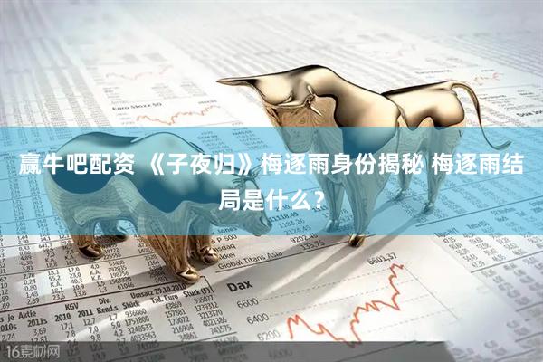 赢牛吧配资 《子夜归》梅逐雨身份揭秘 梅逐雨结局是什么？