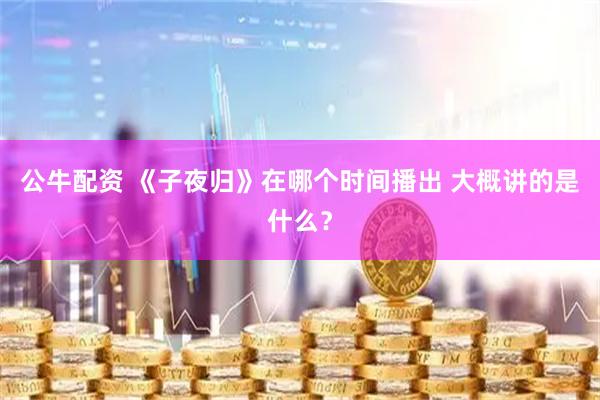 公牛配资 《子夜归》在哪个时间播出 大概讲的是什么？